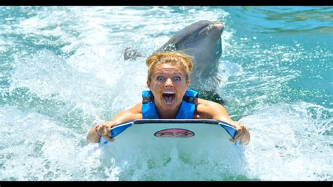 GIRL GETS HUMPED BY DOLPHIN!!! (340)